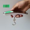 50kg x 10g Digital Luggage Scale Portable Electronic Scale Weight Balance suitcase Travel Hanging Steelyard Hook scale - China - A